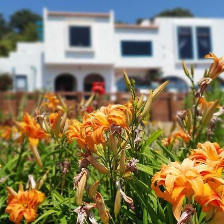 La Casa Te Puru Lodge Экстерьер фото